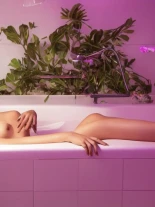 Анкета проститутки Влада - Фото 1, метро Горьковская, 24 года, №257461